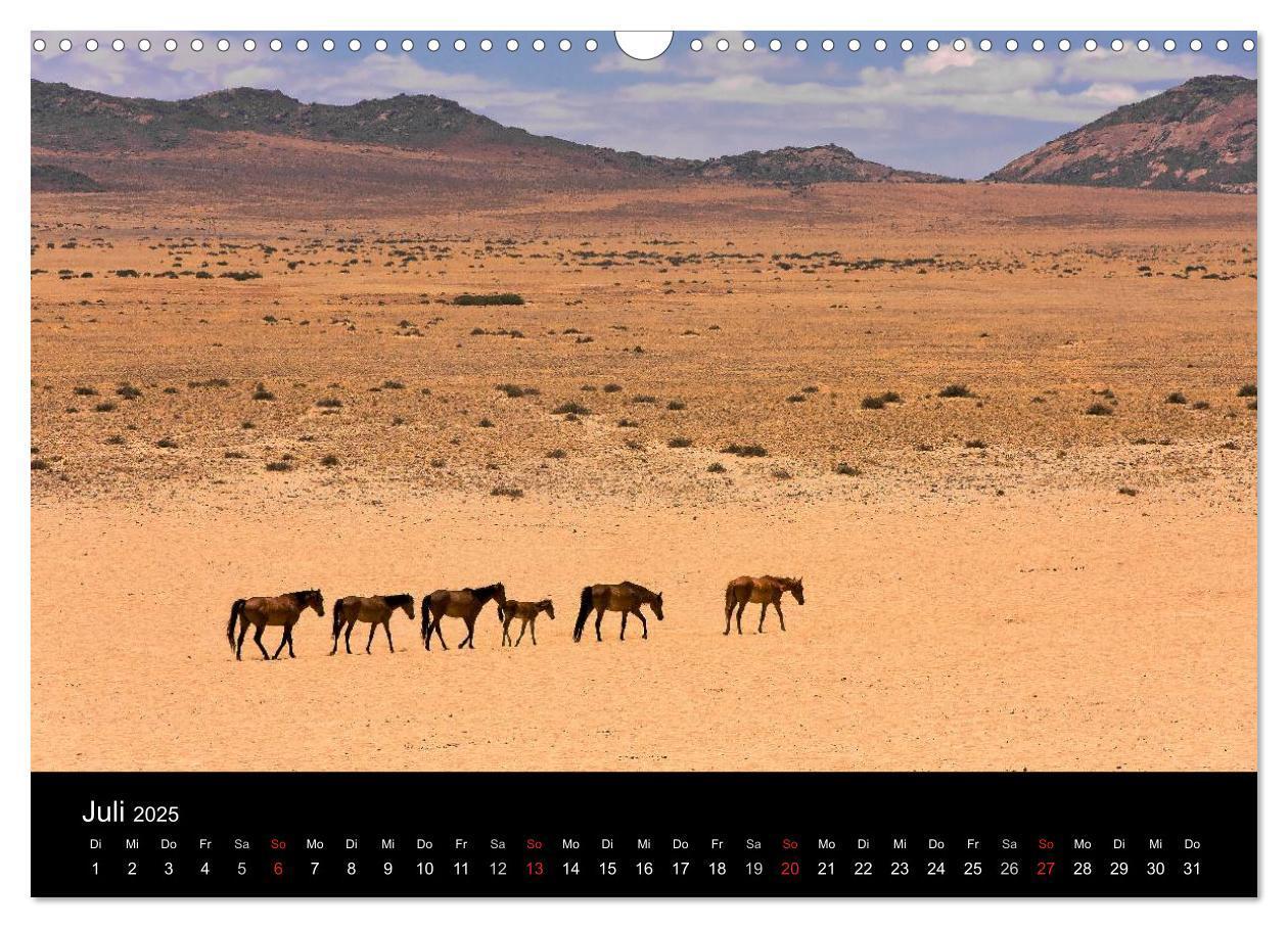 Bild: 9783435816279 | Fantastisches Namibia (Wandkalender 2025 DIN A3 quer), CALVENDO...