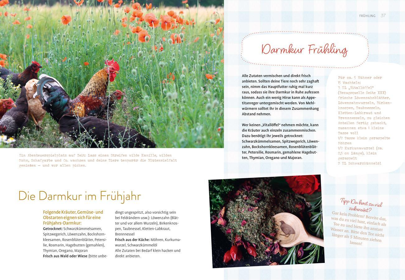 Bild: 9783818620820 | Was sucht das Huhn im Kräuterbeet? | Anne Baresch | Taschenbuch | 2024