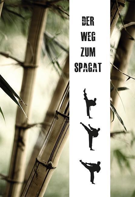 Cover: 9783936457667 | Der Weg zum Spagat | Stretchingmethoden für Anfänger und Profis | Buch