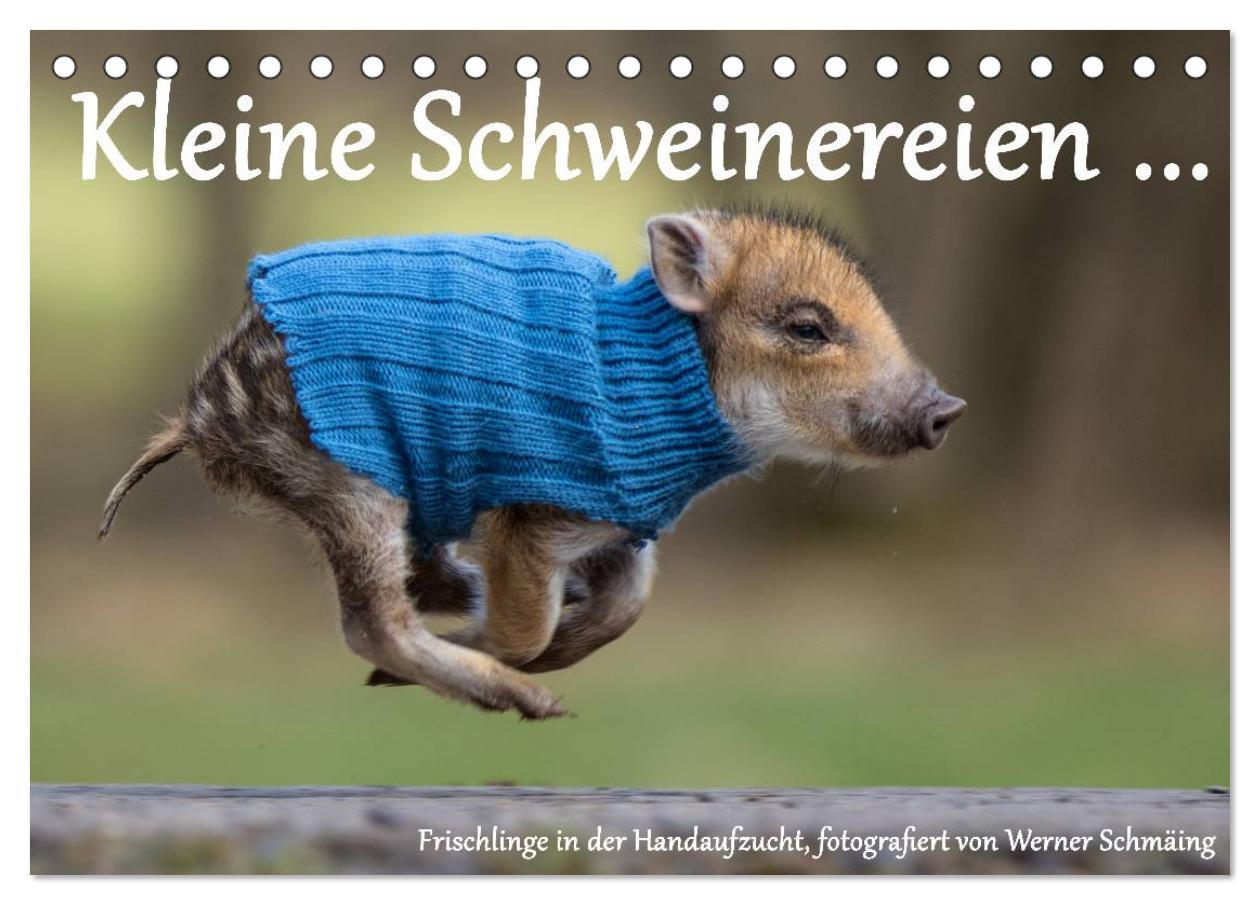 Cover: 9783435535682 | Kleine Schweinereien (Tischkalender 2025 DIN A5 quer), CALVENDO...