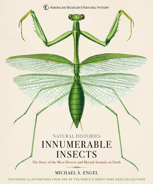 Cover: 9781454923237 | Innumerable Insects: The Story of the Most Diverse and Myriad...