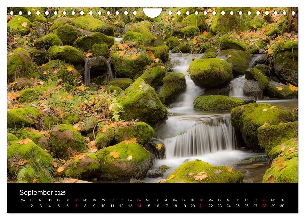 Bild: 9783435642427 | Meine Heimat Westerwald (Wandkalender 2025 DIN A4 quer), CALVENDO...