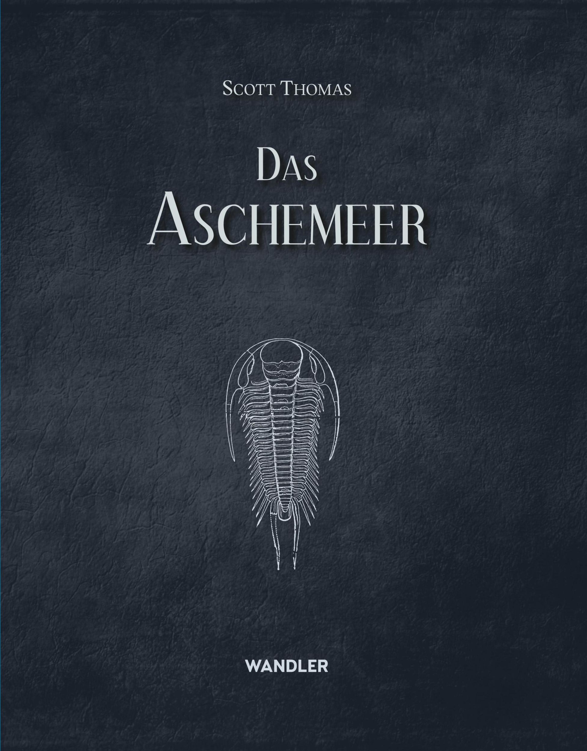 Cover: 9783948825140 | Das Fleischmeer/Das Aschemeer | Jeffrey Thomas (u. a.) | Buch | 2024