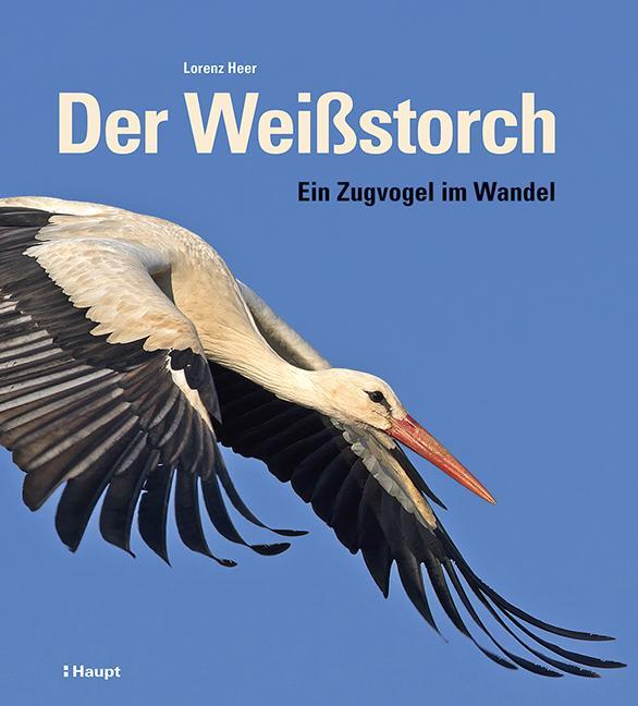 Cover: 9783258083544 | Der Weißstorch | Ein Zugvogel im Wandel | Lorenz Heer | Buch | 256 S.