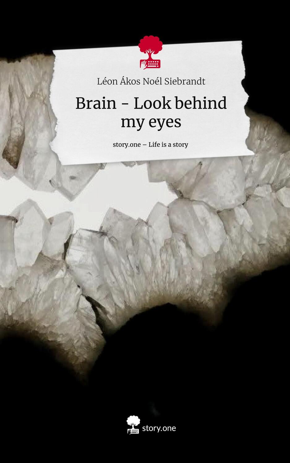 Cover: 9783710865589 | Brain - Look behind my eyes. Life is a Story - story.one | Siebrandt