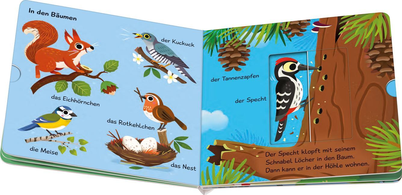 Bild: 9783473417711 | Meine ersten Wörter vom Wald - Sprechen lernen mit großen Schiebern...