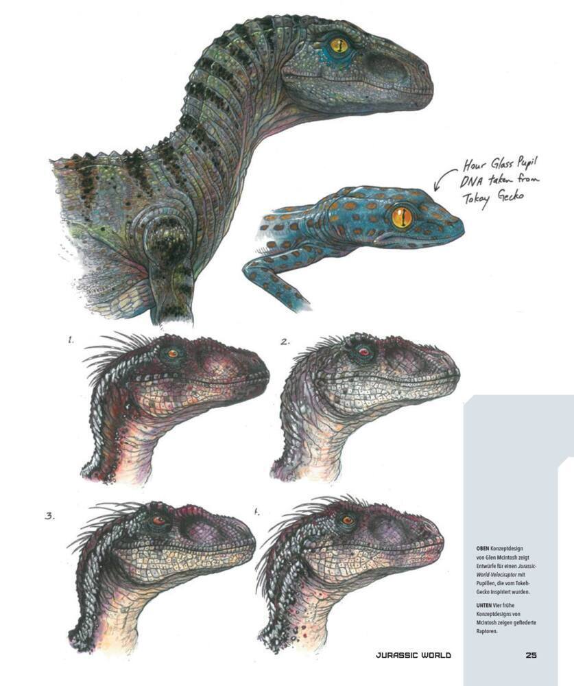 Bild: 9783833242175 | Jurassic World: Das ultimative Kompendium | James Mottram | Buch