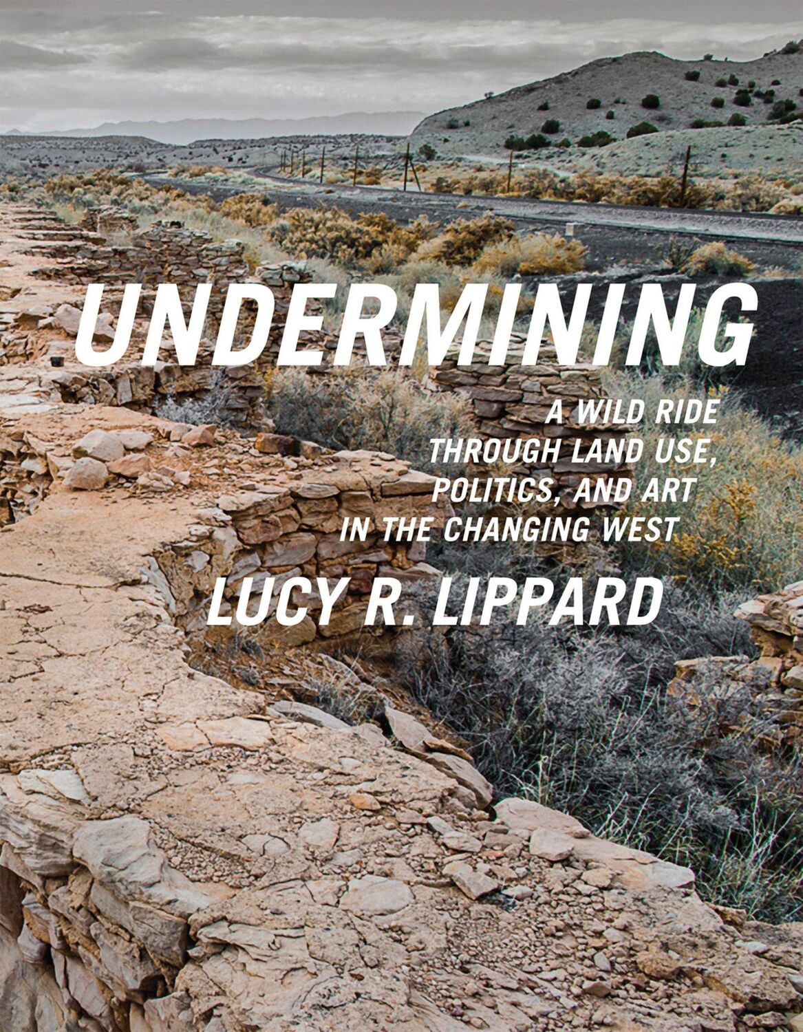 Cover: 9781595586193 | Undermining | Lucy R Lippard | Taschenbuch | Englisch | 2014