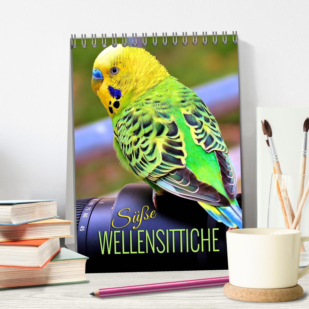 Bild: 9783435882458 | Süße Wellensittiche (Tischkalender 2025 DIN A5 hoch), CALVENDO...