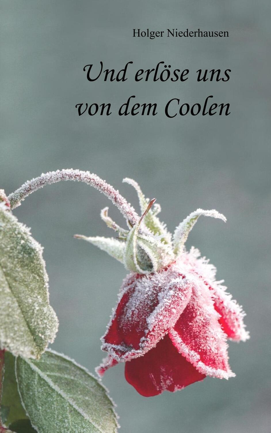 Cover: 9783752805178 | Und erlöse uns von dem Coolen | Holger Niederhausen | Taschenbuch