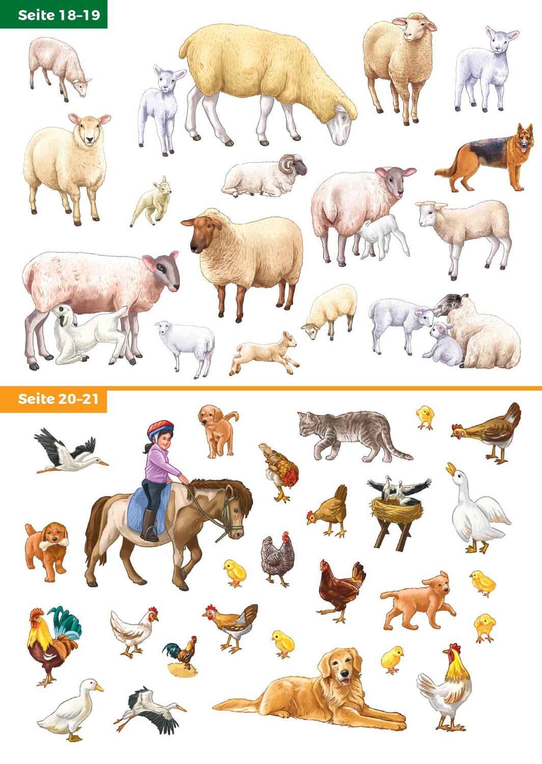 Bild: 9783863185985 | Tiere unserer Erde. Mein Stickerbuch. Bauernhof | Broschüre | 24 S.