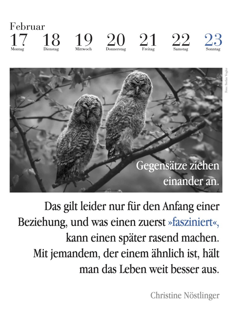 Bild: 9783895617997 | Der literarische Eulenkalender 2025 | Zweifarbiger Wochenkalender