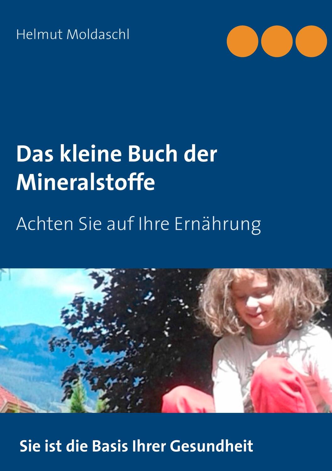 Cover: 9783748100263 | Das kleine Buch der Mineralstoffe | Helmut Moldaschl | Taschenbuch