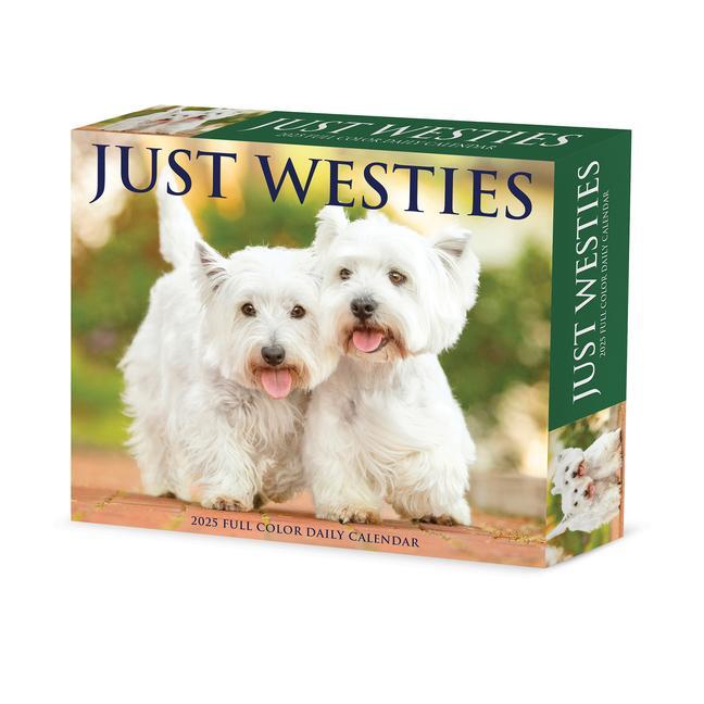 Cover: 9781549241093 | Westies 2025 6.2 X 5.4 Box Calendar | Willow Creek Press | Kalender