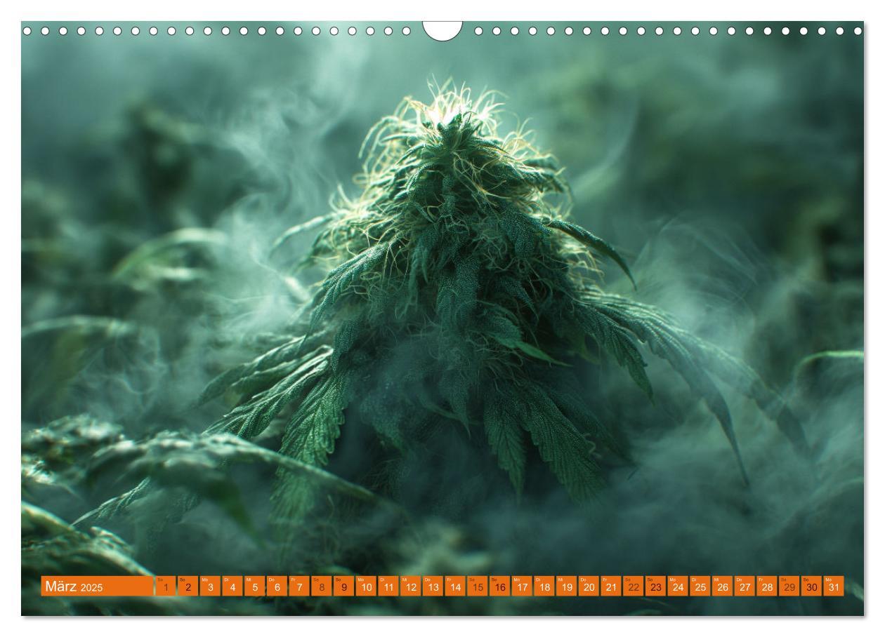 Bild: 9783383764714 | High Moments - Ein Jahr im Zeichen von Cannabis (Wandkalender 2025...