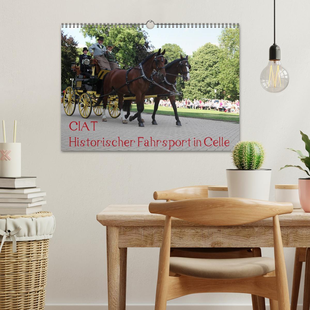 Bild: 9783435553457 | CIAT - Historischer Fahrsport in Celle (Wandkalender 2025 DIN A3...