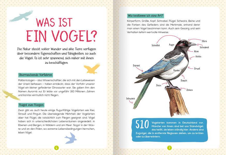 Bild: 9783741524646 | Mein Naturführer - Vögel | Beobachten · verstehen · schützen | Luchesi