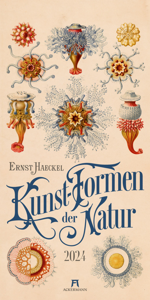 Cover: 9783838424118 | Kunst-Formen der Natur - Ernst Haeckel - Kalender 2024 | Kalender