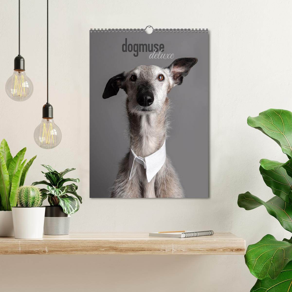 Bild: 9783457230824 | dogmuse deluxe (Wandkalender 2025 DIN A3 hoch), CALVENDO...