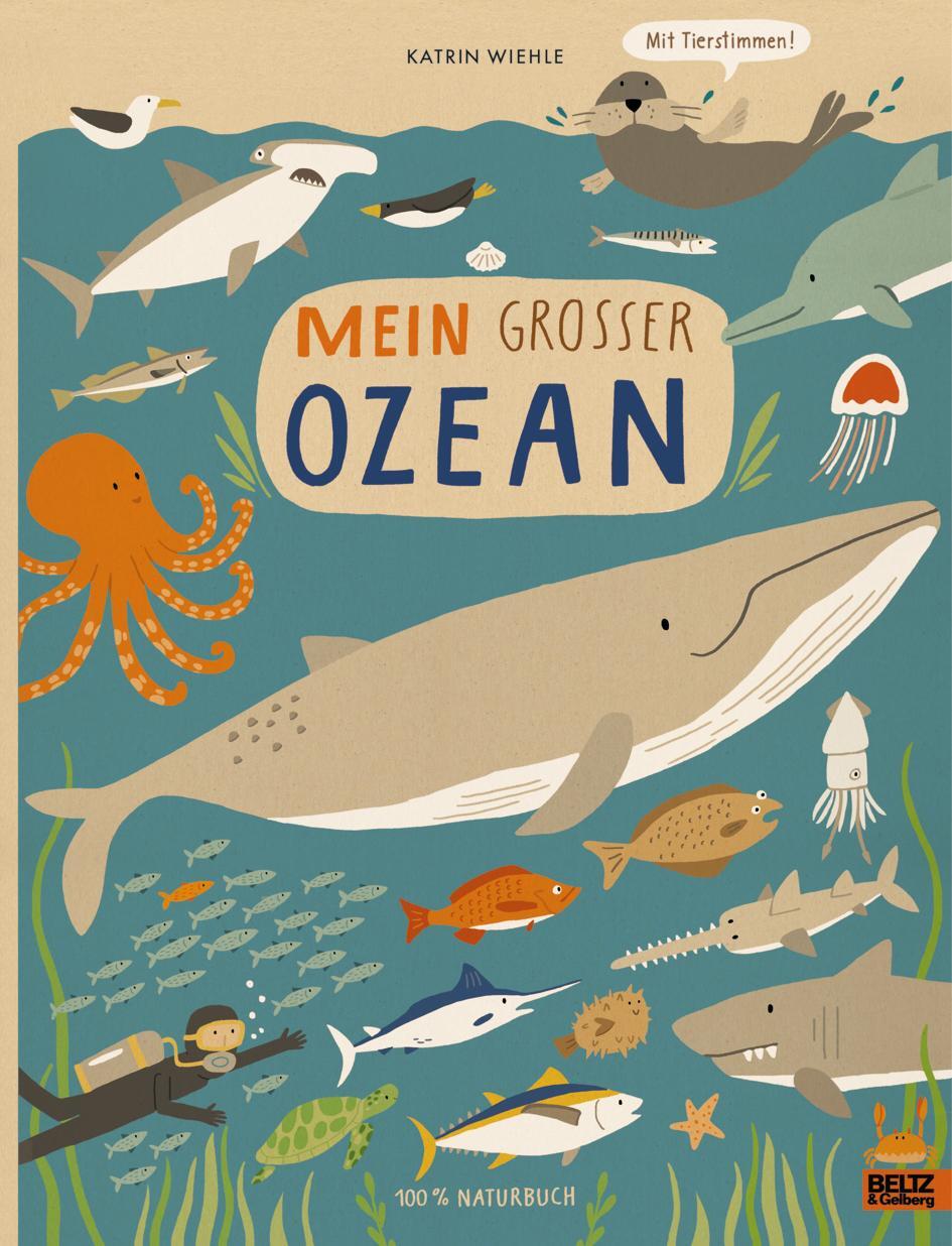 Cover: 9783407812209 | Mein großer Ozean | 100 % Naturbuch - Vierfarbiges Pappbilderbuch