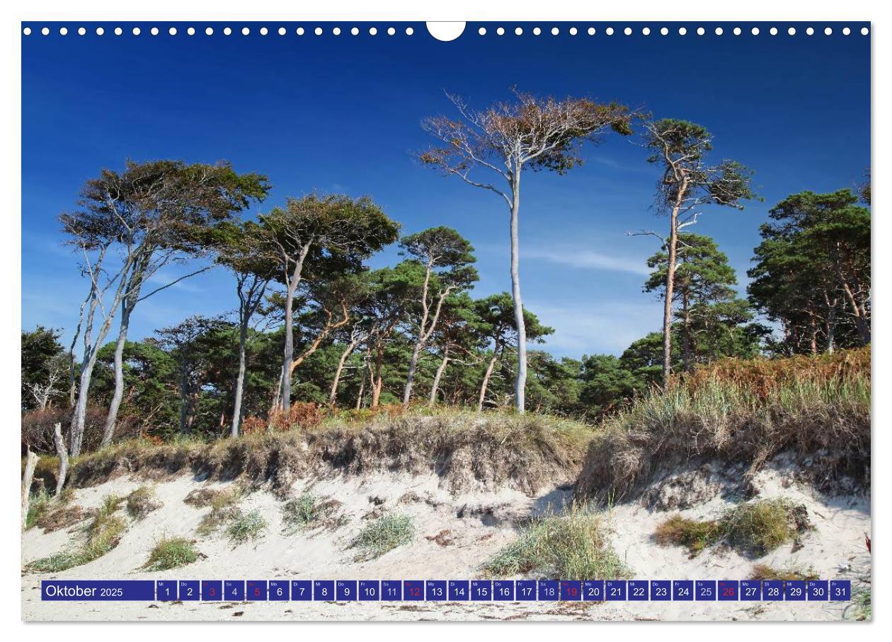 Bild: 9783435781973 | Weststrand Darß (Wandkalender 2025 DIN A3 quer), CALVENDO...