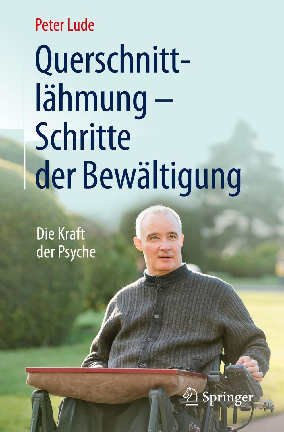 Cover: 9783662479698 | Querschnittlähmung - Schritte der Bewältigung | Die Kraft der Psyche