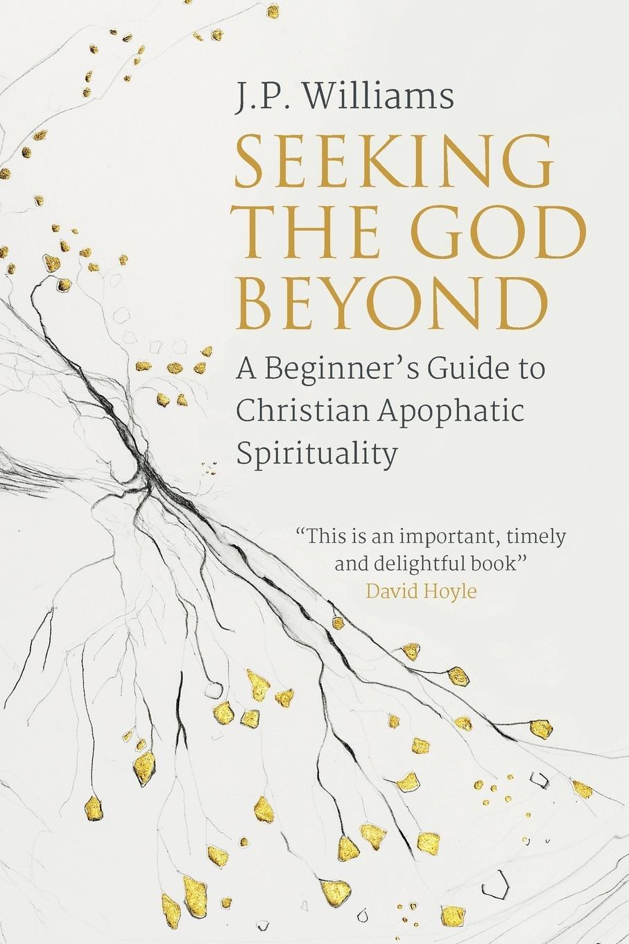 Cover: 9780334057017 | Seeking the God Beyond | J. P Williams | Taschenbuch | Paperback