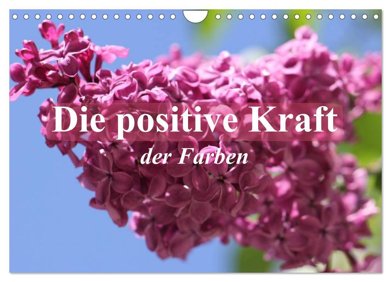 Cover: 9783383543753 | Die positive Kraft der Farben (Wandkalender 2024 DIN A4 quer),...
