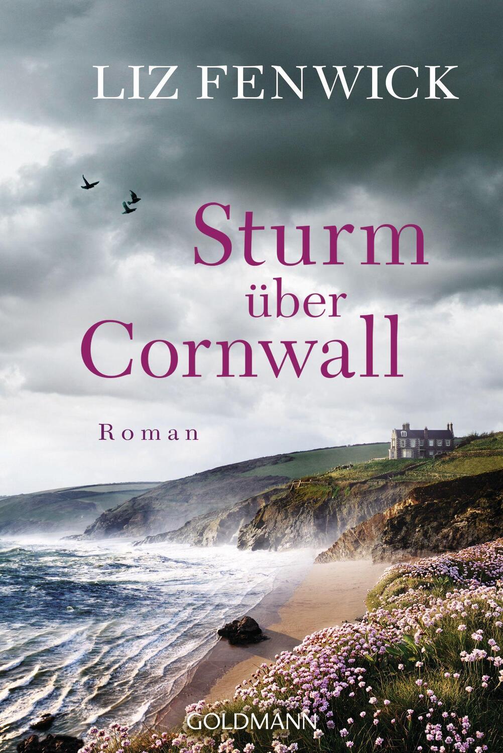 Cover: 9783442490691 | Sturm über Cornwall | Roman | Liz Fenwick | Taschenbuch | Deutsch