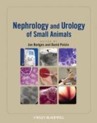 Cover: 9780813817170 | Nephrology and Urology of Small Animals | Joe Bartges (u. a.) | Buch