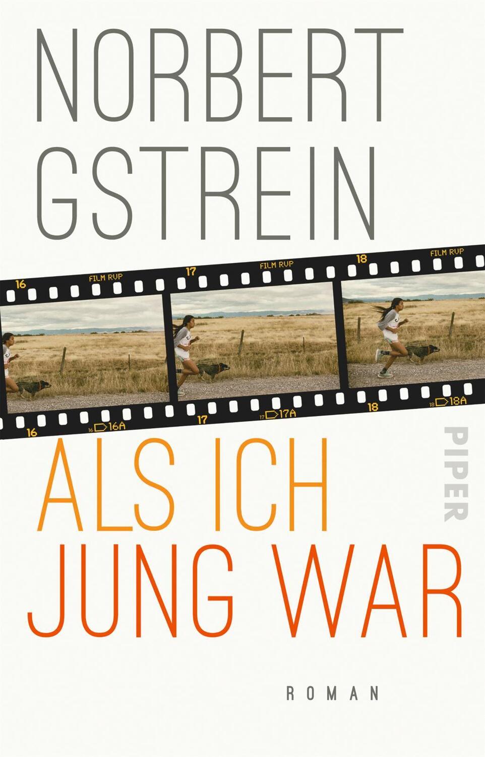 Cover: 9783492317177 | Als ich jung war | Roman | Norbert Gstrein | Taschenbuch | Deutsch