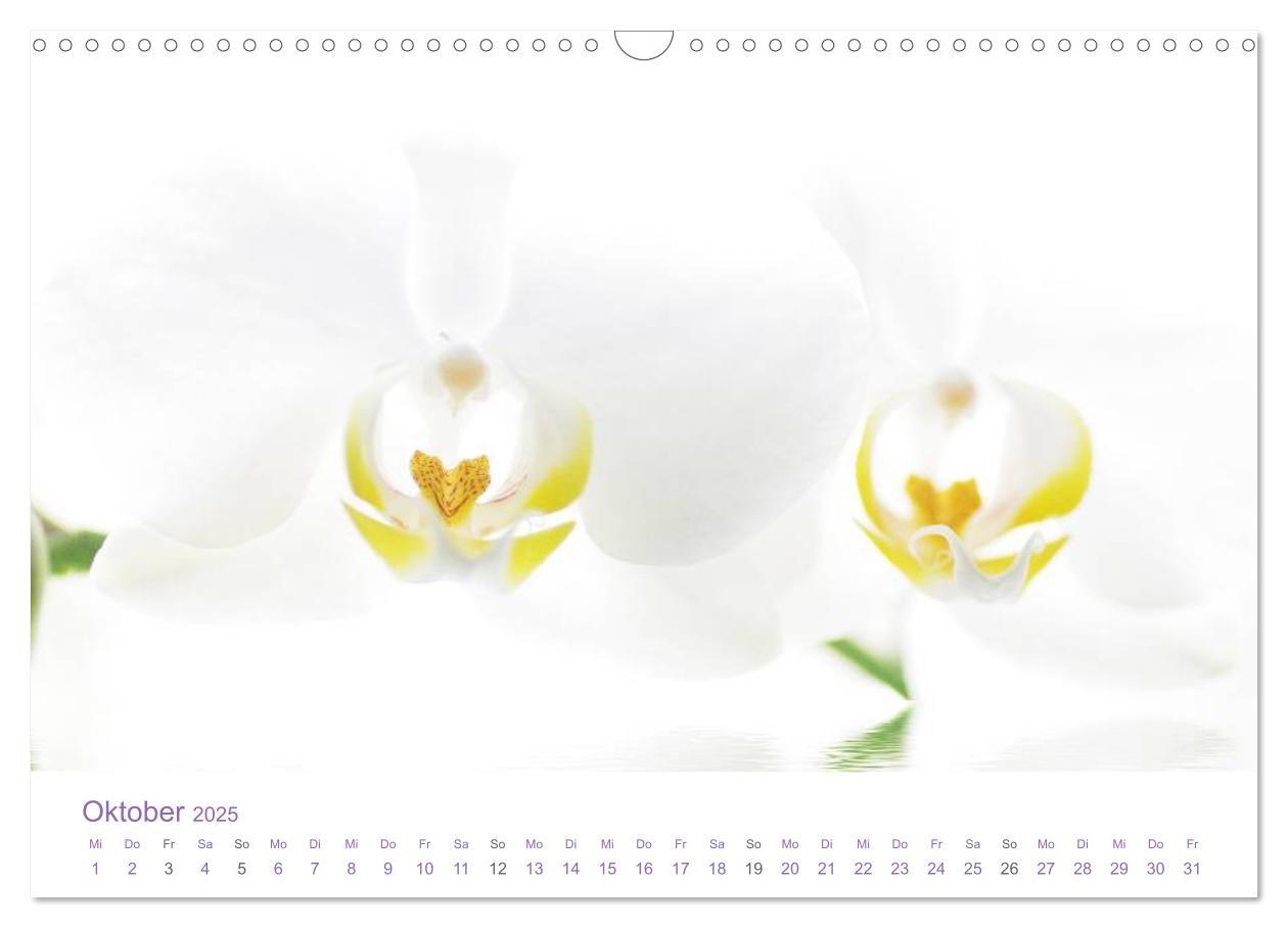 Bild: 9783435810048 | Blumen &amp; Blüten Träume (Wandkalender 2025 DIN A3 quer), CALVENDO...