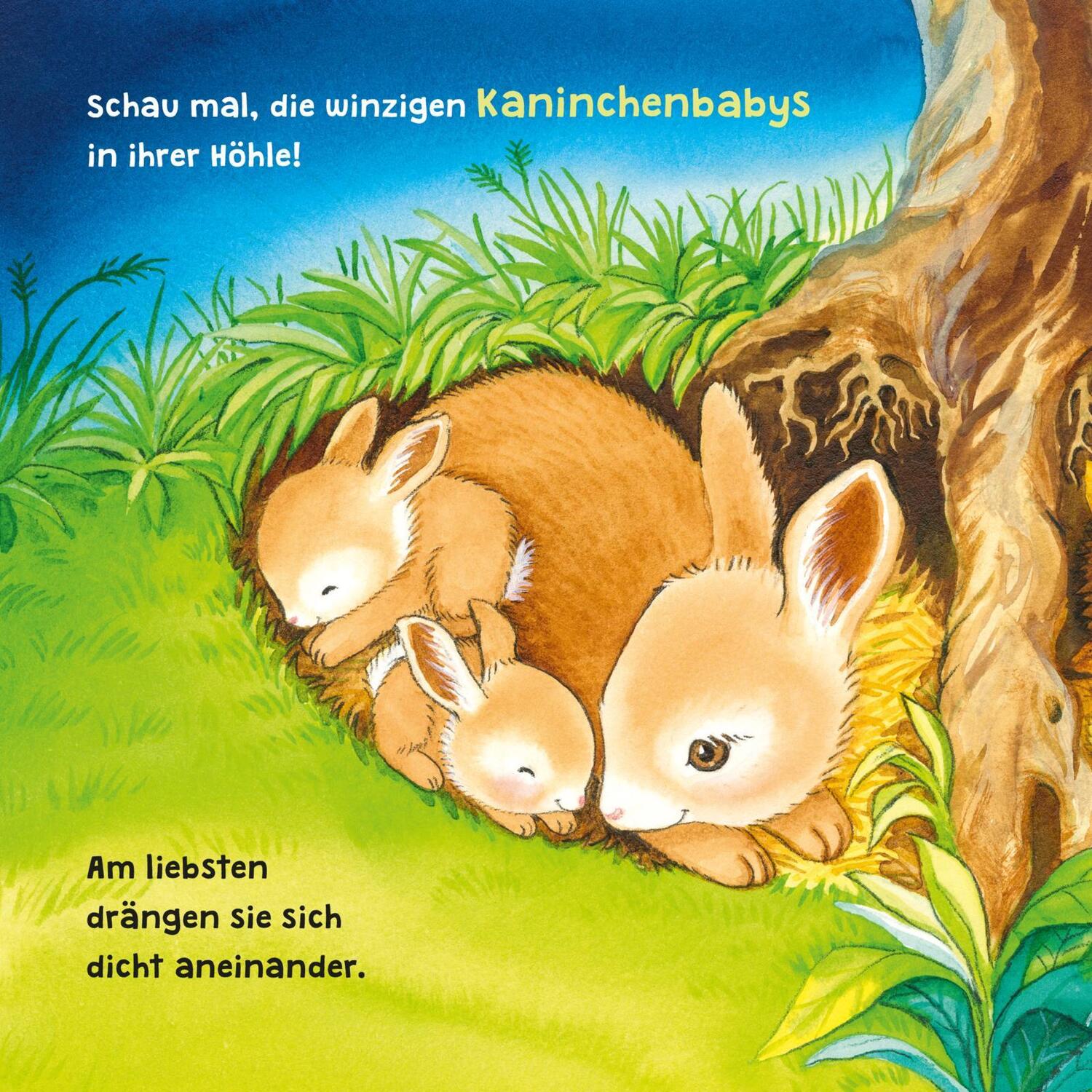 Bild: 9783551051981 | Baby Pixi (unkaputtbar) 96: Mein Lieblingsbuch vom Einschlafen mit...