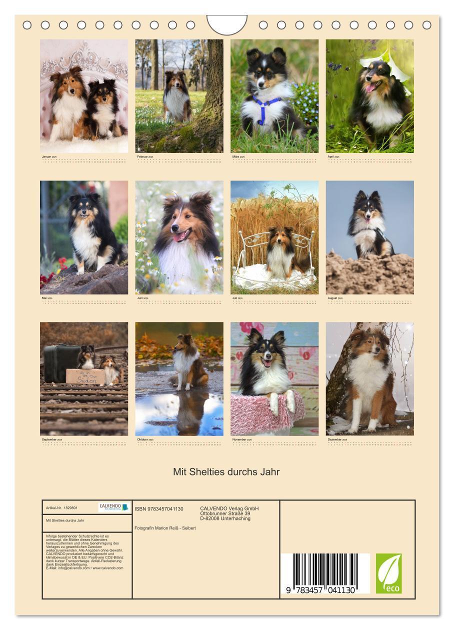 Bild: 9783457041130 | Mit Shelties durchs Jahr (Wandkalender 2025 DIN A4 hoch), CALVENDO...