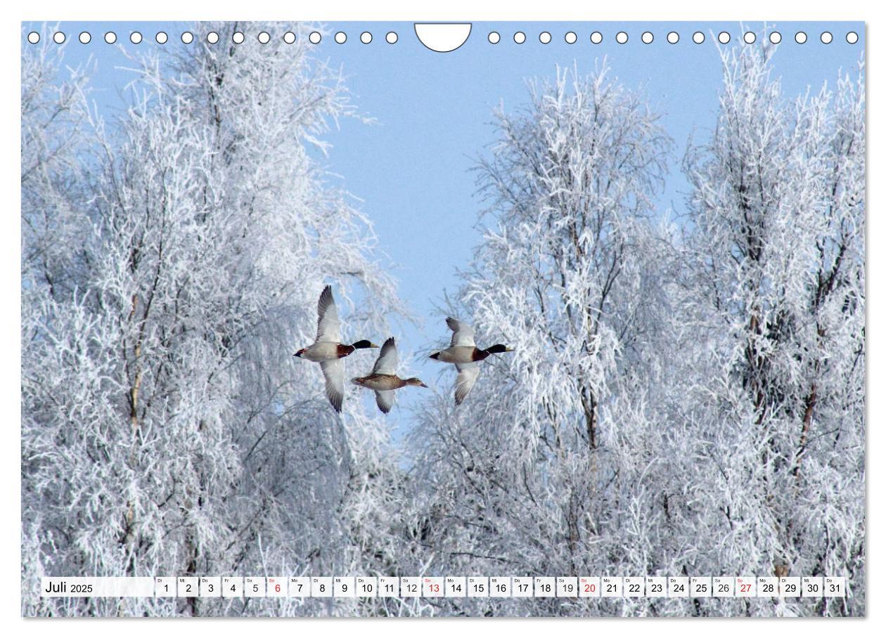 Bild: 9783435175383 | Eiszeit. Winter und Frost in der Natur (Wandkalender 2025 DIN A4...