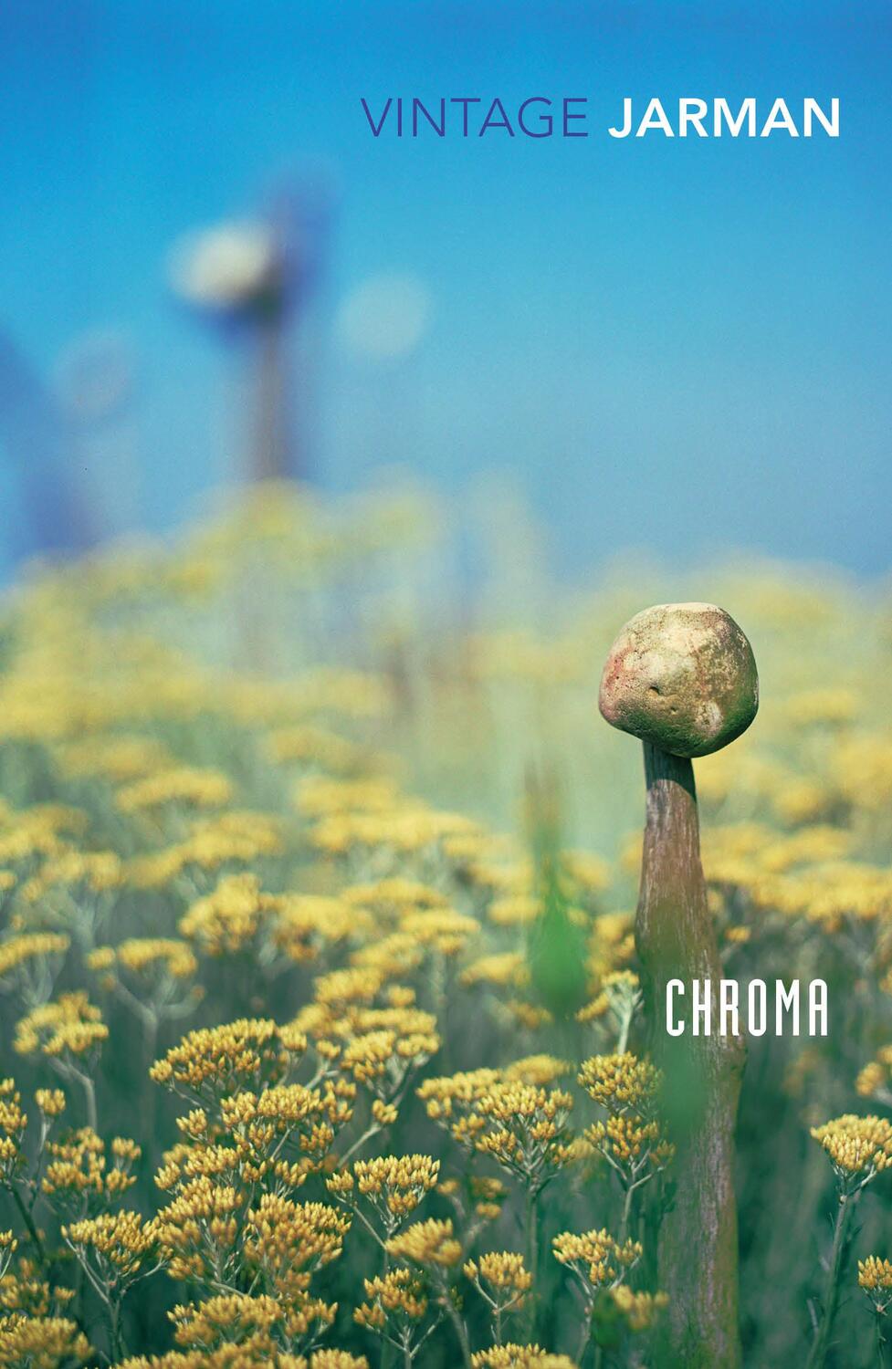 Cover: 9780099474913 | Chroma | A Book of Colour - June '93 | Derek Jarman | Taschenbuch