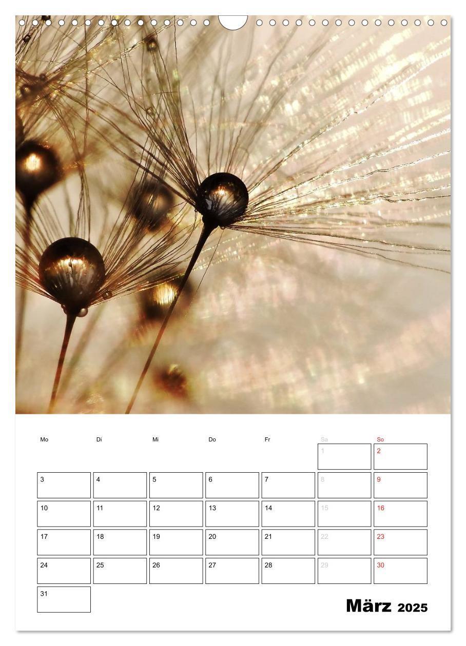 Bild: 9783457068458 | Pusteblumentraum - Dreams of Dandelion (Wandkalender 2025 DIN A3...