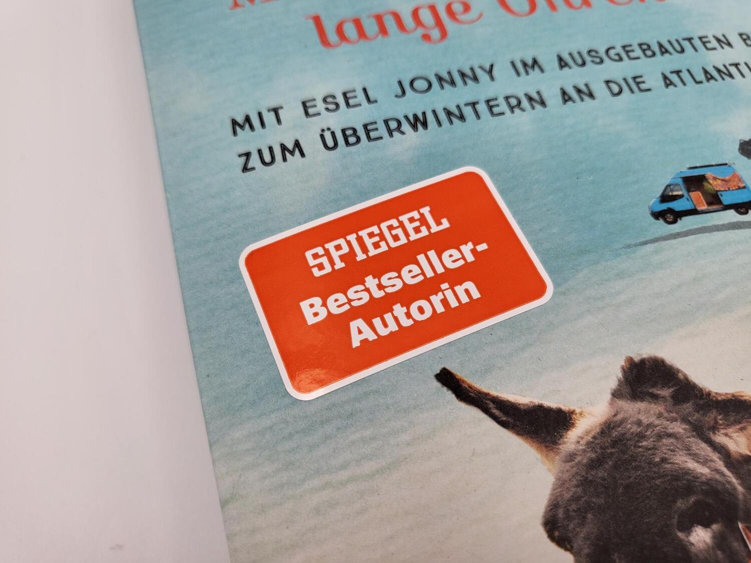 Bild: 9783890295596 | Sonne, Meer und lange Ohren | Lotta Lubkoll | Taschenbuch | 288 S.