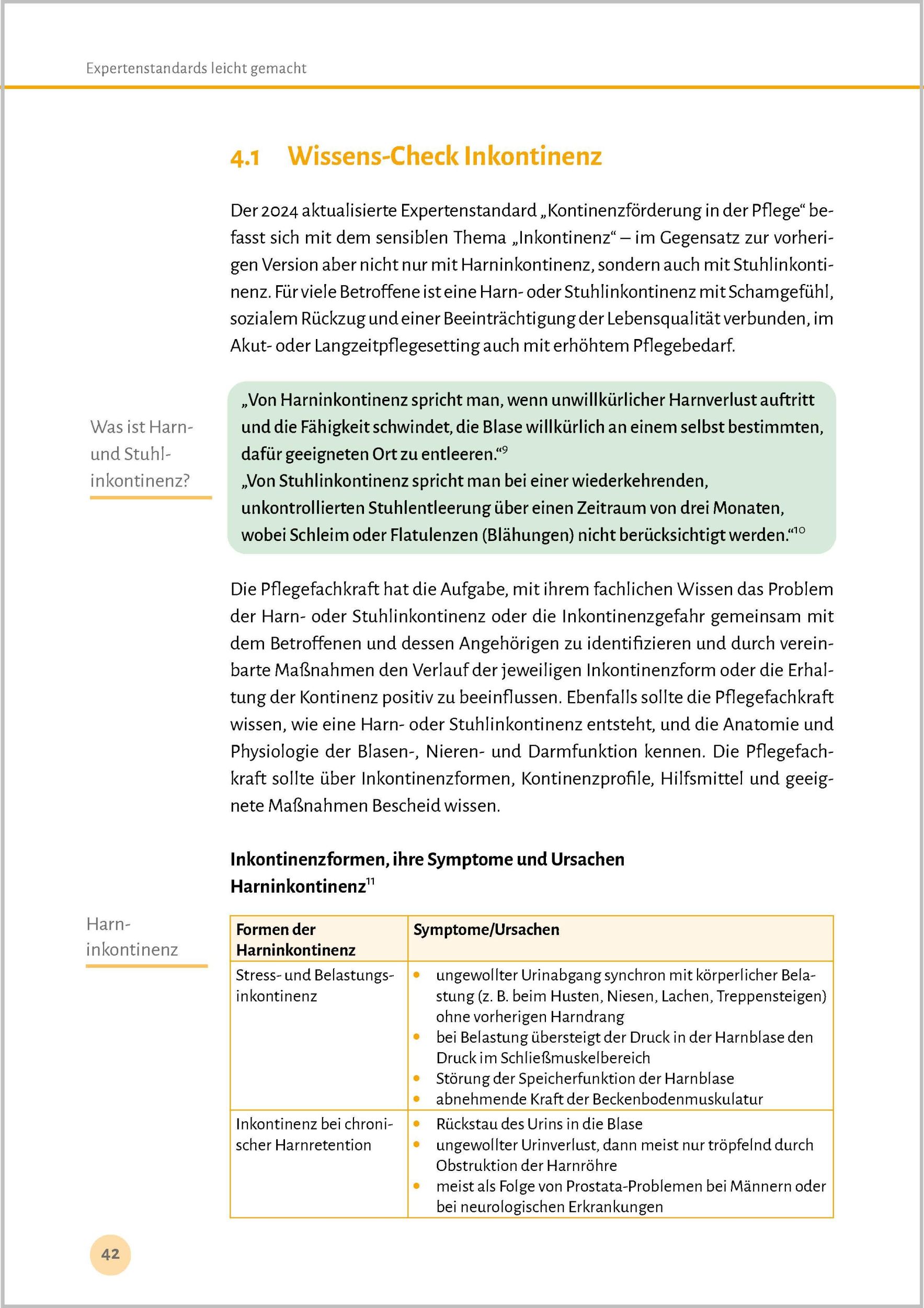 Bild: 9783948106508 | Expertenstandards leicht gemacht | Björn Philipp | Taschenbuch | 2024