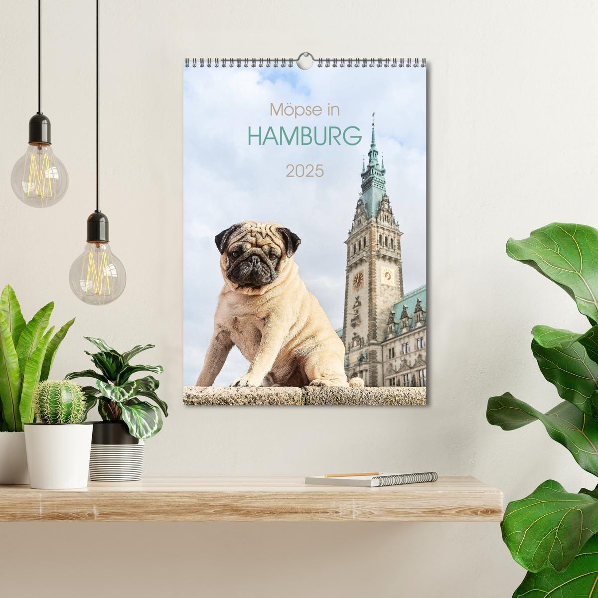 Bild: 9783435986217 | Möpse in Hamburg (Wandkalender 2025 DIN A3 hoch), CALVENDO...