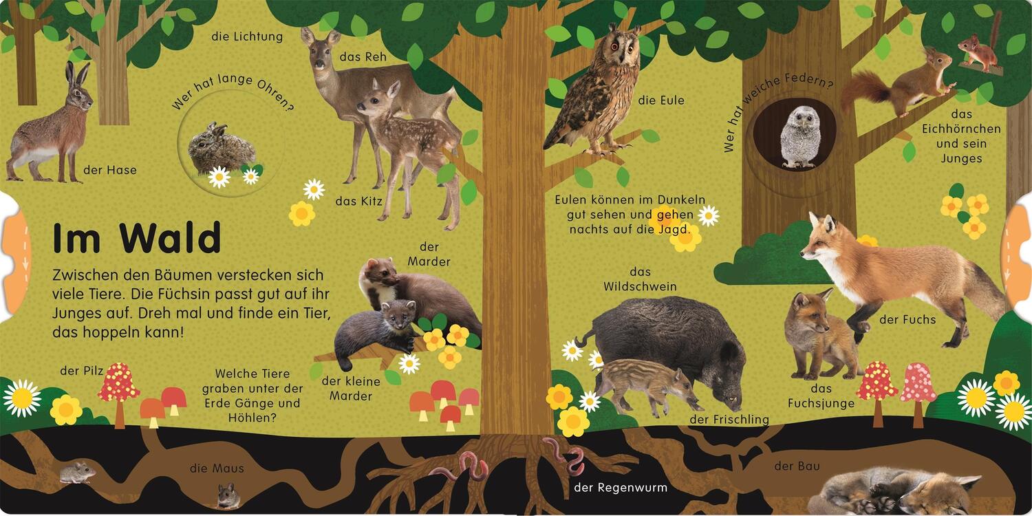 Bild: 9783831042333 | Erstes Lernen Drehen. So viele Tierkinder | Buch | Deutsch | 2021