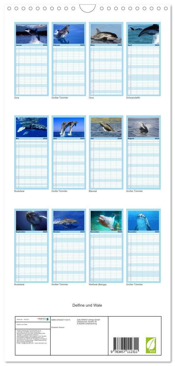 Bild: 9783457112311 | Familienplaner 2025 - Delfine und Wale mit 5 Spalten (Wandkalender,...