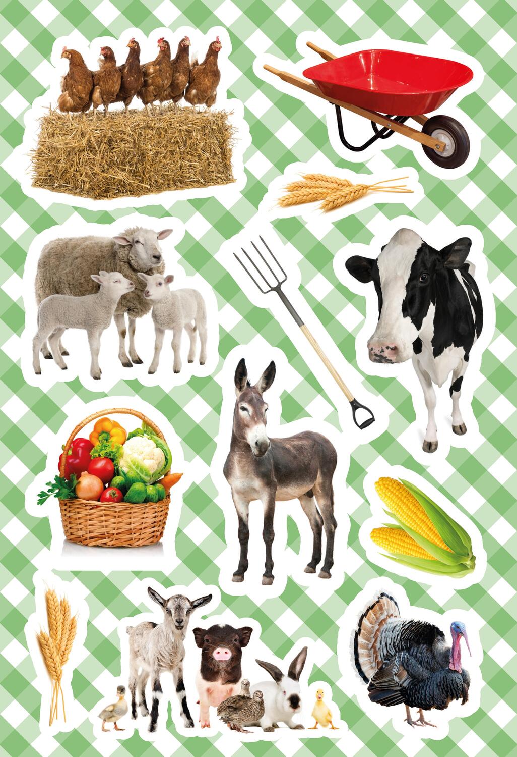 Bild: 9783833242311 | Bauernhof: Sticker- und Malspaß | Sticker- und Malblock | Taschenbuch