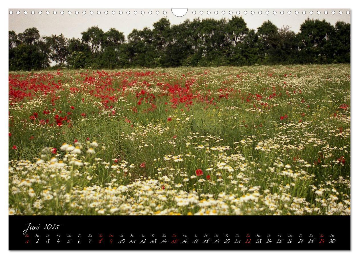 Bild: 9783435778843 | RHÖN = SCHÖN (Wandkalender 2025 DIN A3 quer), CALVENDO Monatskalender