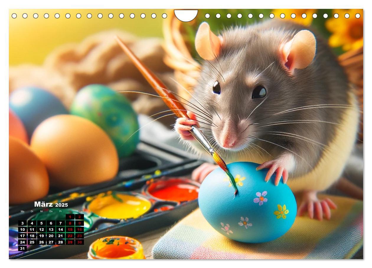 Bild: 9783383837357 | Lustige Ratten (Wandkalender 2025 DIN A4 quer), CALVENDO...