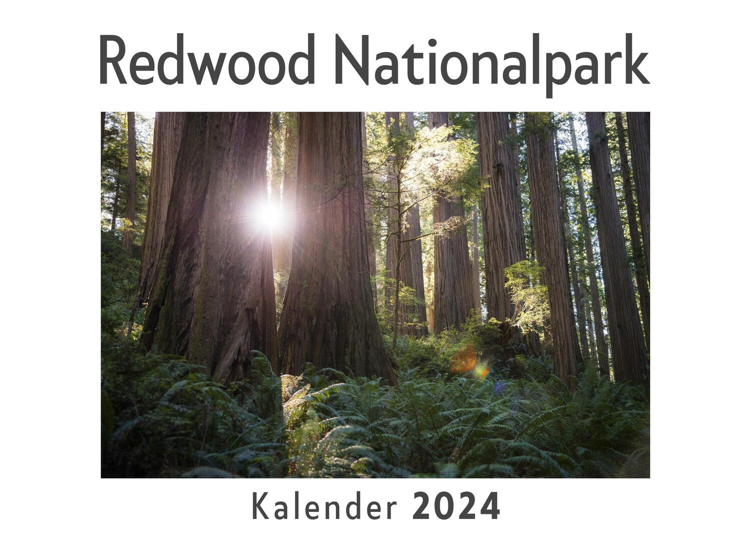 Cover: 9783750542518 | Redwood Nationalpark (Wandkalender 2024, Kalender DIN A4 quer,...