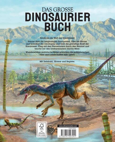 Rückseite: 9783741527241 | Das große Dinosaurierbuch | Claudia Martin | Buch | 128 S. | Deutsch
