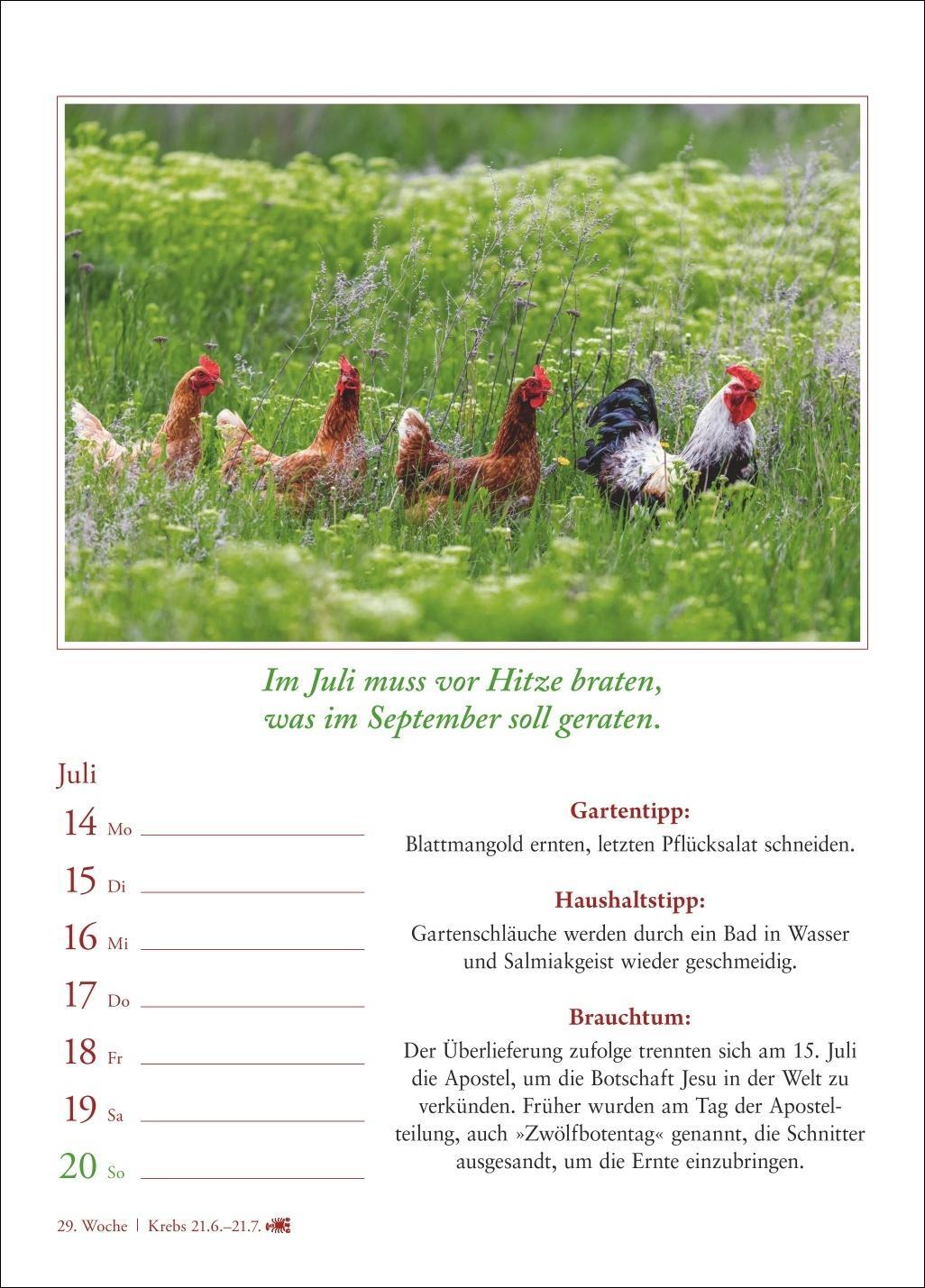 Bild: 9783840033988 | Bauernweisheiten Wochenkalender 2025 - Bauernregeln, Brauchtum,...