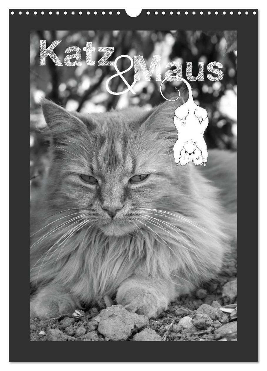 Cover: 9783383517938 | Katz &amp; Maus (Wandkalender 2024 DIN A3 hoch), CALVENDO Monatskalender