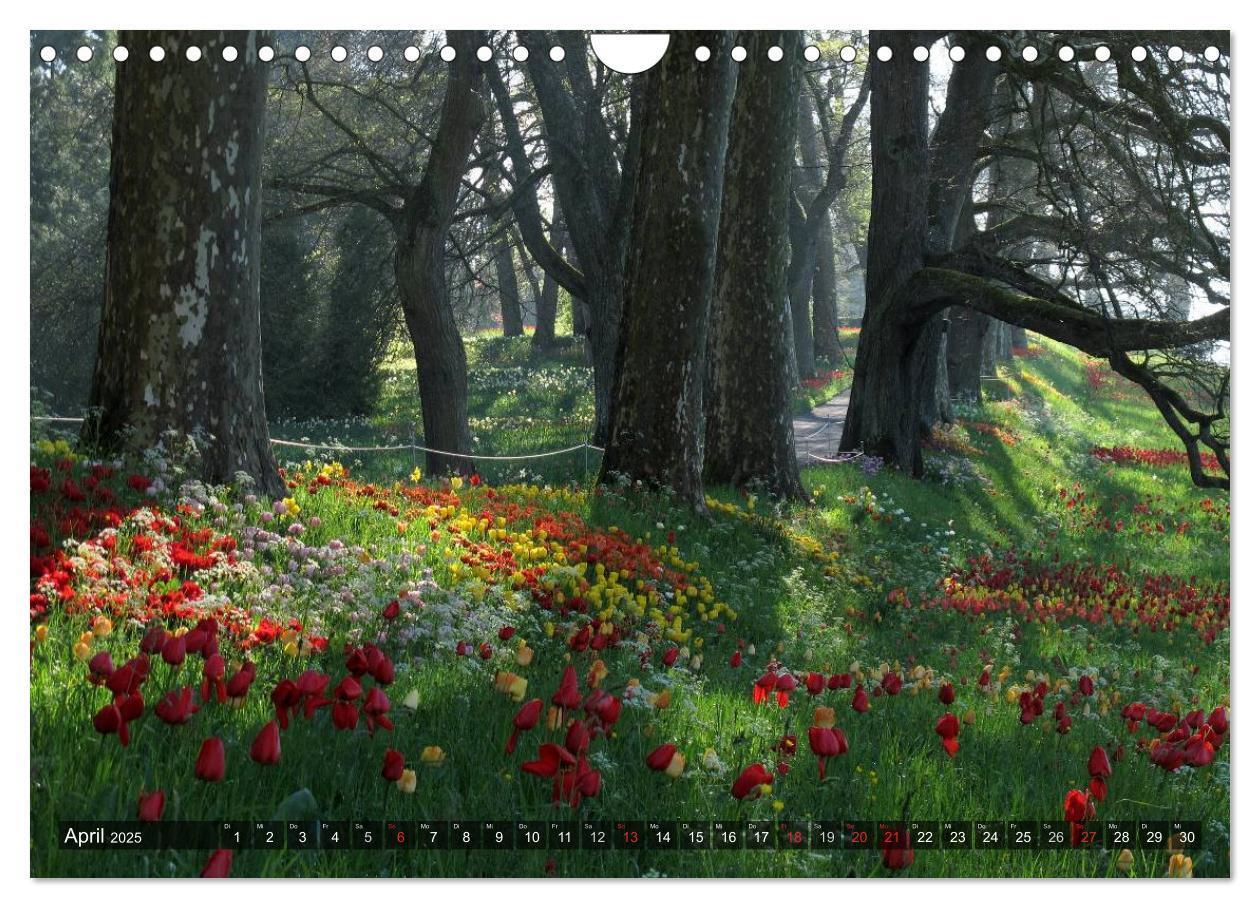 Bild: 9783435696611 | Zauberhafter Bodensee (Wandkalender 2025 DIN A4 quer), CALVENDO...